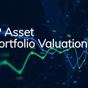 IP Asset Portfolio Valuation